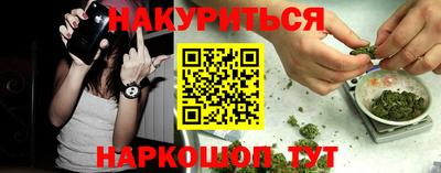 ешки Кингисепп
