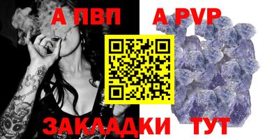 ешки Кингисепп