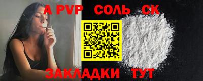 ешки Кингисепп