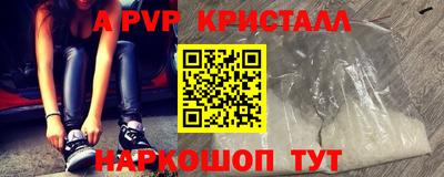 ешки Кингисепп