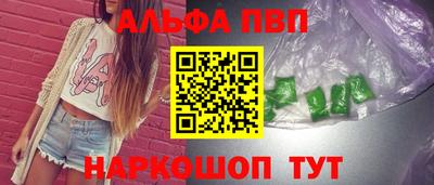 ешки Кингисепп