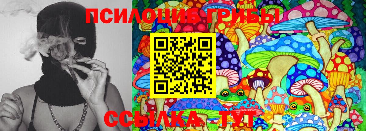 Кубинка  Псилоцибиновые грибы GOLDEN TEACHER  Вход с VPN 